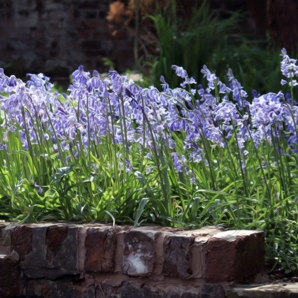 Lawrence House Garden oilpainting