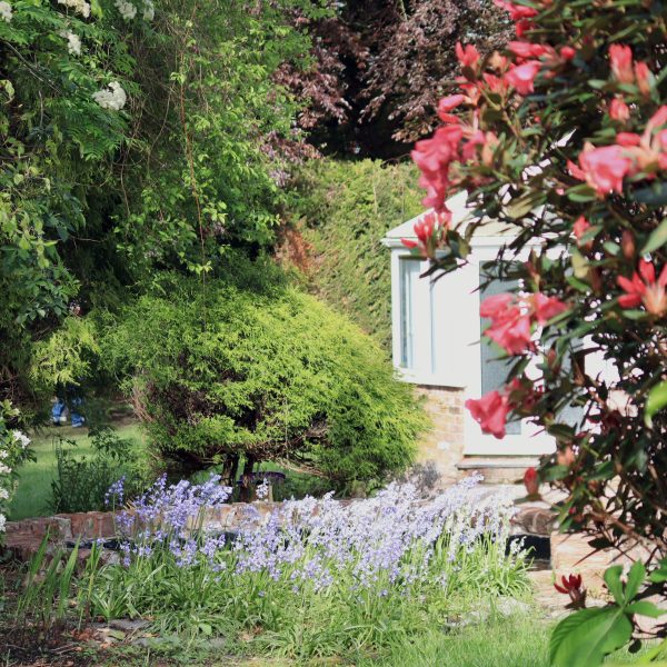 Lawrence House Garden rear