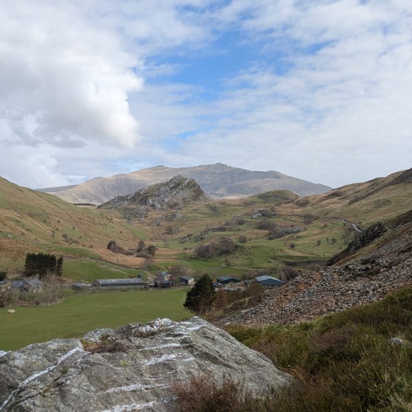 PXL 20250331 120349887.MP